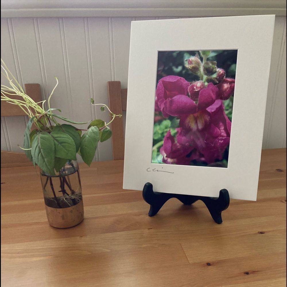New Original Signed Photography